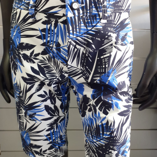 Alberto Revolutional Jungle WR Mens Shorts